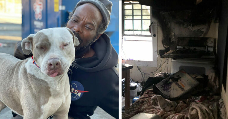Tento bezdomovec riskoval svůj život, kvůli zvířátkům z útulku! A co se přesně stalo?