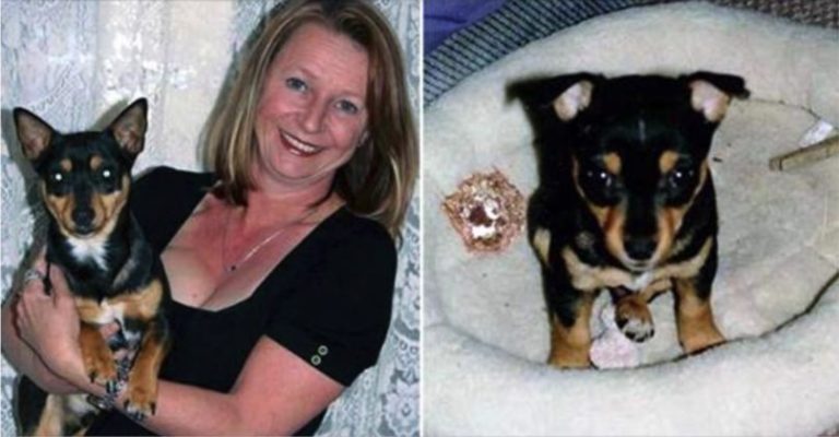 Adoptovala si psa, ten ji nakonec zachránil život: Neuvěříte, co se stalo!