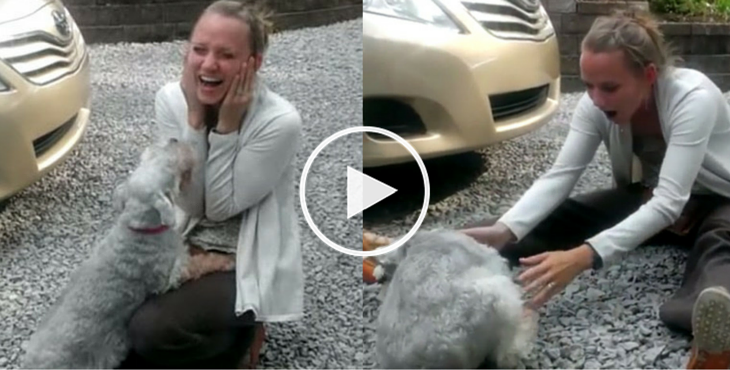 Když pes po dvou letech znovu viděl svého majitele, omdlel radostí.