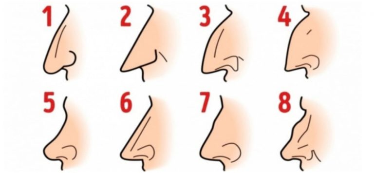 Tvar vašeho nosu odhalí skryté vrozené vlastnosti, o kterých jste nevěděli. Které máte vy?