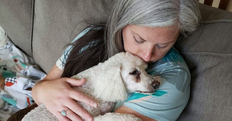 Hotový anděl: Žena mění svůj dům na hospic pro staré psy z útulku, aby neumřeli sami