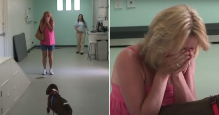 Žena zvedla do rukou svého psa – když viděla, co s ním provedli, zůstala v úplném šoku