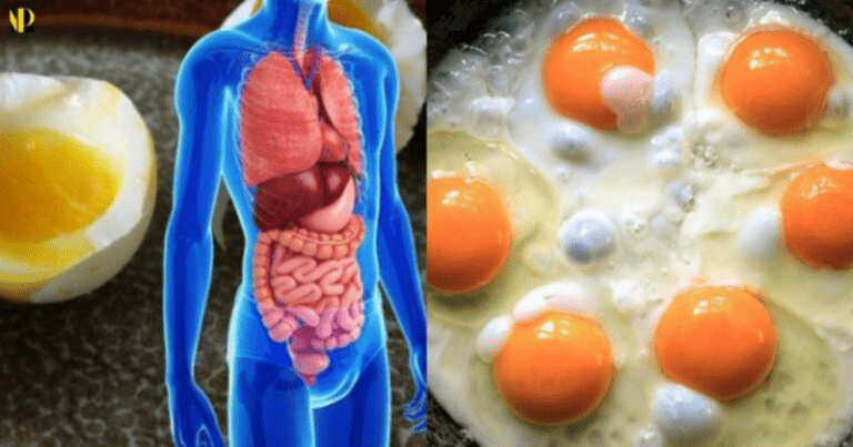 Věra 49: Vajíčko denně dělá s mým tělem divy. Doporučuji každému, kdo se chce cítit zdravě.