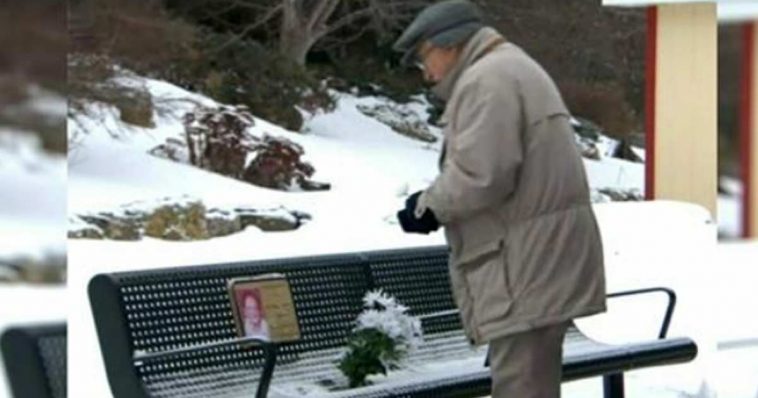 Starý muž každý den nosí květiny své zesnulé ženě. Netušil, že ho někdo sleduje a chystá překvapení