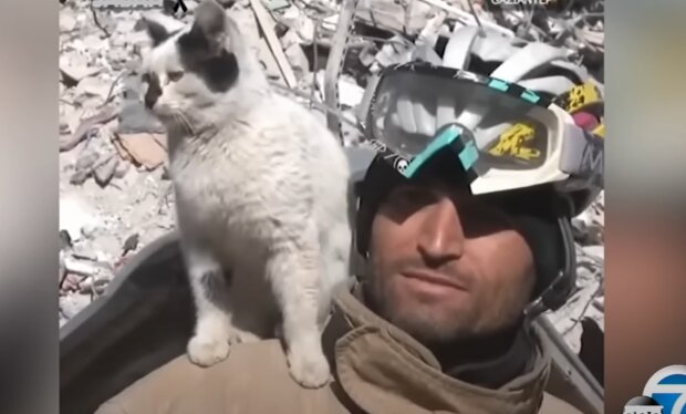 Naděje po zemětřesení v Turecku: Příběh kočky Enkaz, která přežila pod sutinami.