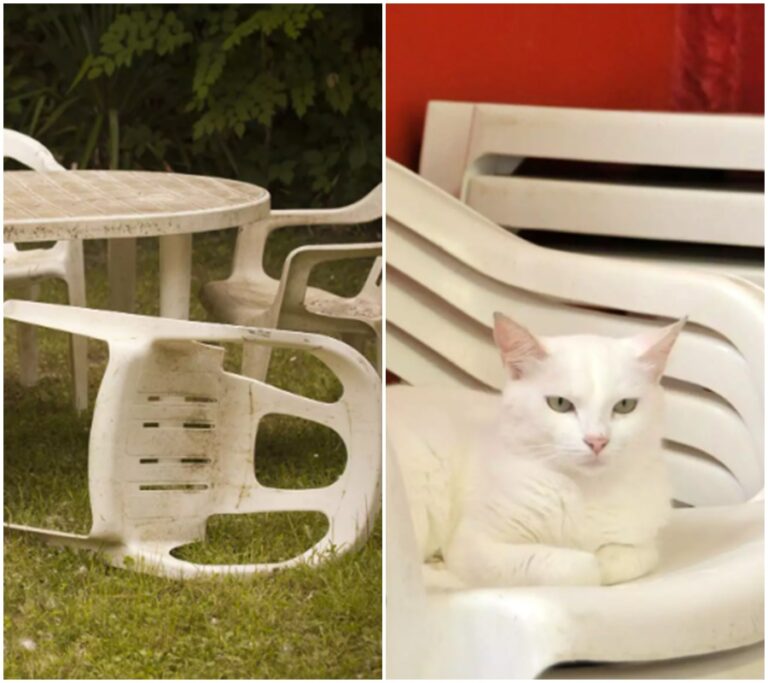 Šokující pravda o tom, jak bílé plastové židle přicházejí o svou krásu – A jak jim pomoci získat ji zpět!