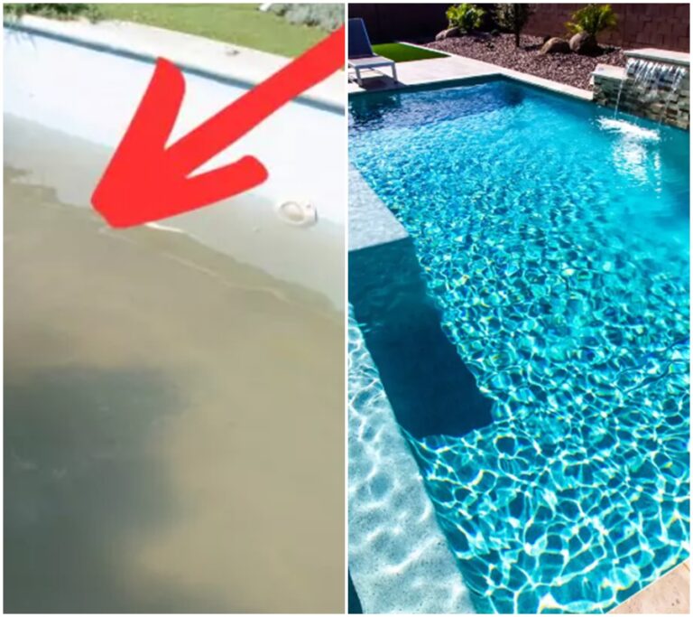 Jak se vyhnout nebezpečnému plísním a bakteriím v bazénu? Zajímavé domácí způsoby čištění dna, které jste neznali!