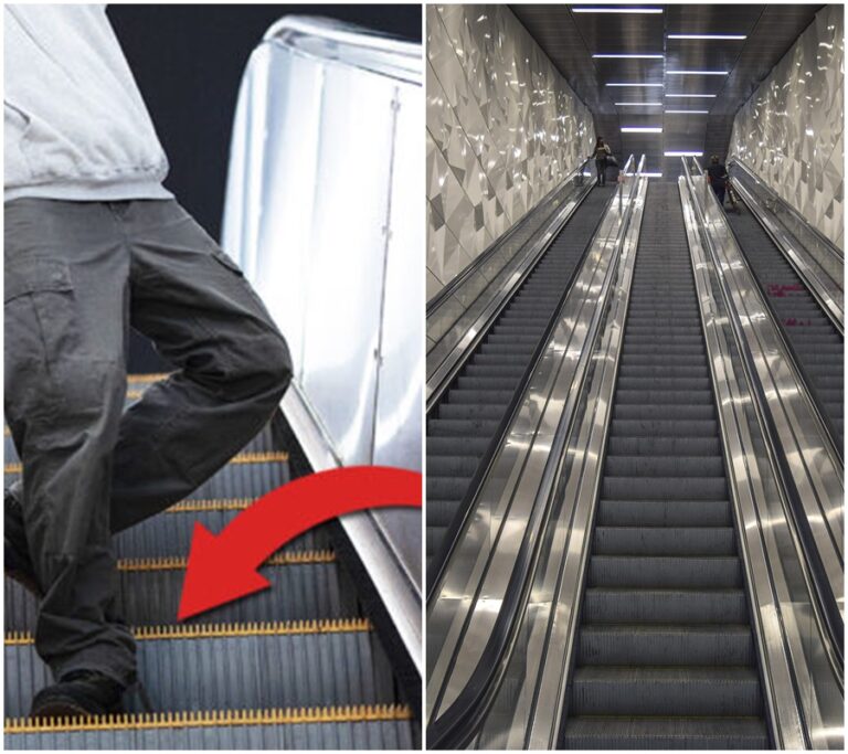 Bezpečnost na pohyblivých schodech: Jak vás štětce mohou ochránit před nebezpečím a co pro to musíte udělat?