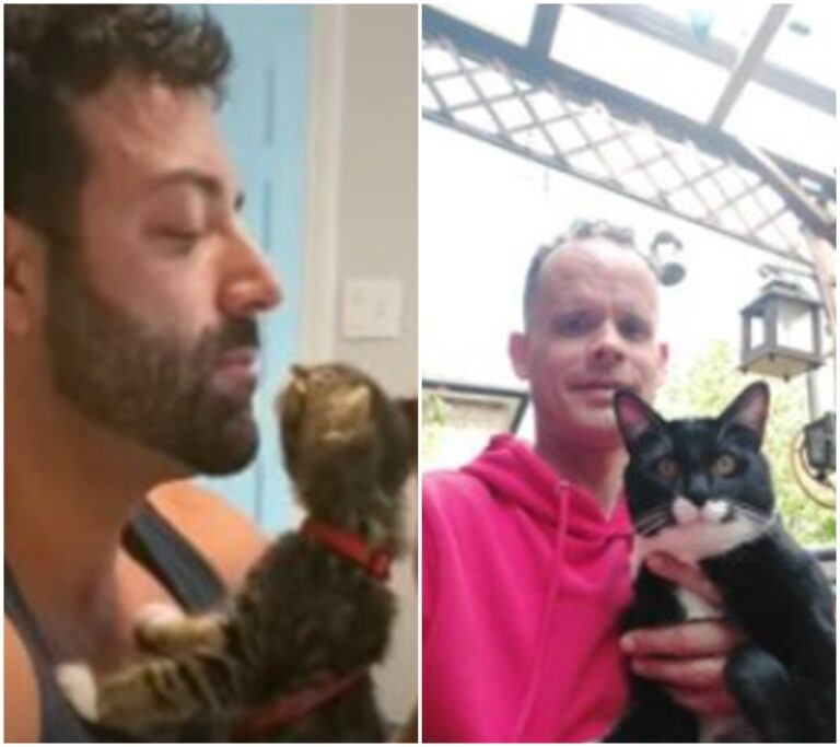 Bezdomovci s kočkami – Kontroverzní příběh muže, který se potýká s finanční tísní a udržuje při životě své mazlíčky