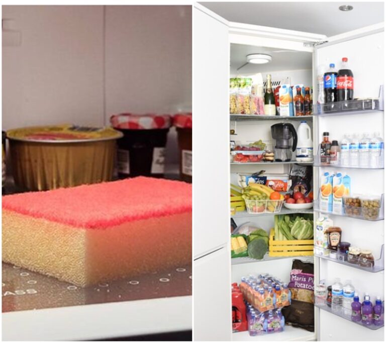 Zachraňte své jídlo a peníze: Jednoduchý trik s houbou na nádobí v lednici