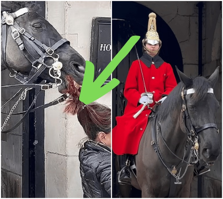 Smrtelné nebezpečí: Turisté varováni před Královskou gardou a jejími vražednými koňmi! Přežijete setkání s nejnebezpečnějšími strážci na světě?
