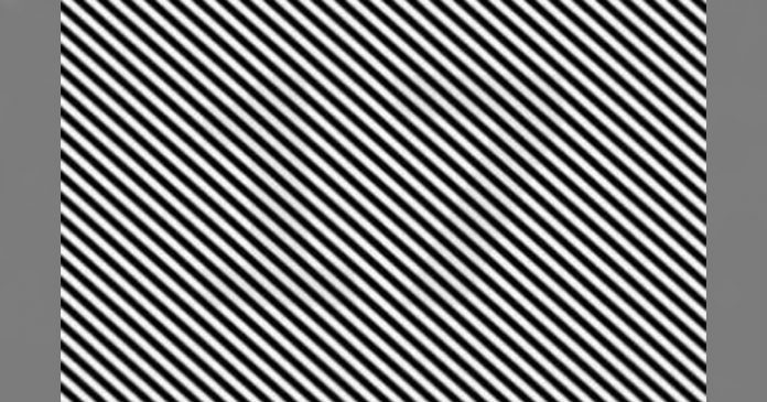 Optická iluze odhaluje tajemství: Dokážeš vidět skryté dvojciferné číslo?