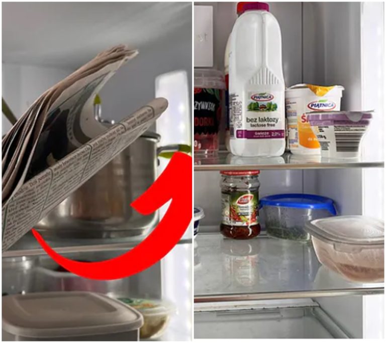 Šokující odhalení: Vaše chladnička – tajemný úkryt vlhkosti a pachu! Zjistěte, jak se zbavit tohoto temného nebezpečí jednoduchými domácími triky!