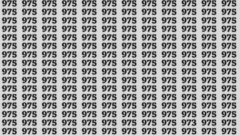 Optická iluze, která prověří vaše IQ: Jak rychle dokážete na obrázku najít číslo 973?