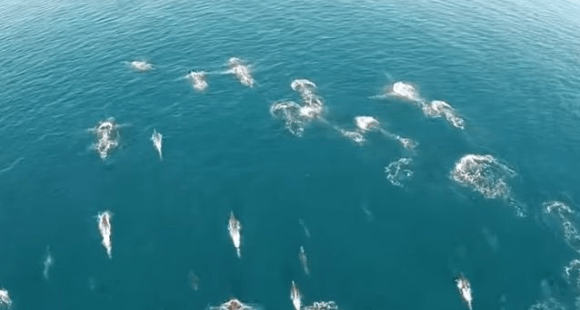 Chlap natočil oceán z dronu. To, co mu podařilo zachytit, je prostě neuvěřitelné!