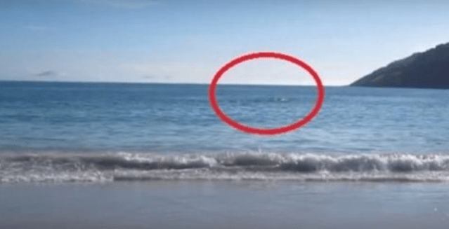 Muž na letošní dovolené natáčel moře, ale za okamžik nemohl uvěřit svým očím!