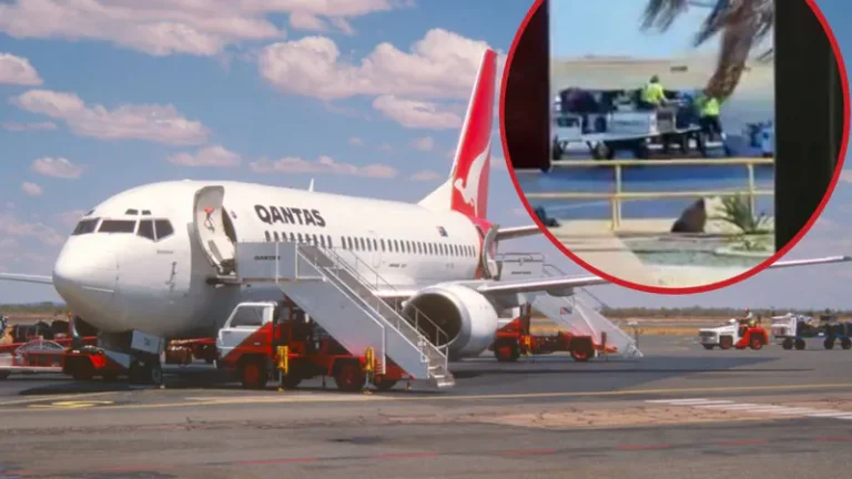 Skandální Odhalení: Zaměstnanec letiště přistižen při brutálním zacházení se zavazadly cestujících!