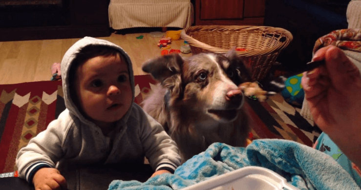 Rodina se snaží přimět syna říct ‚mami‘ a pes s překvapivým tahem mění pravidla hry!