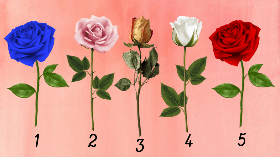 Splní se vaše největší životní přání: Vyberte si jednu růži z obrázku a zjistěte pravdu
