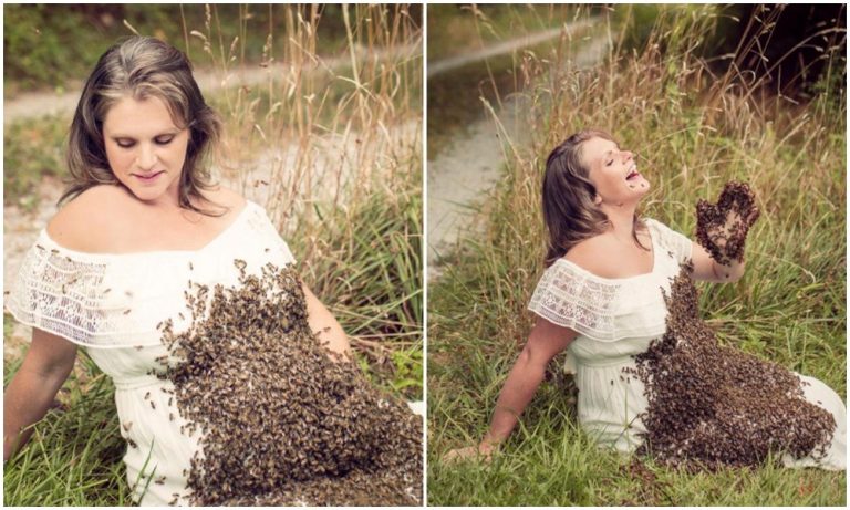Dramatický příběh maminky s těhotenskými fotkami s včelami končí tragédií.