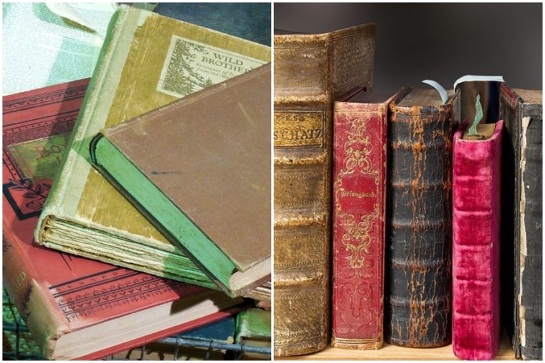 Některé staré knihy se mohou ukázat jako velmi cenné. Za některé vydání sběratelé dávají až milión!