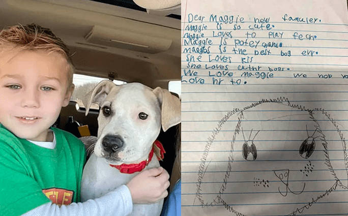 Malý chlapec napsal dopis o fence, kterou si měla adoptovat jiná rodina! Podívejte se jak jí pomohl!