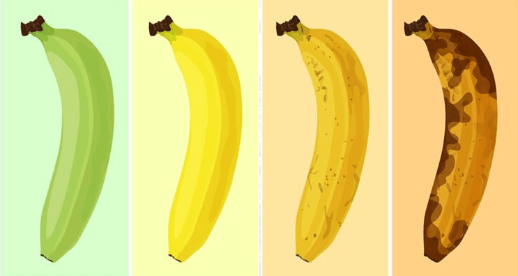 Jíte často banány? Podívejte se co se stane, když budete jíst dva zralé banány denně!